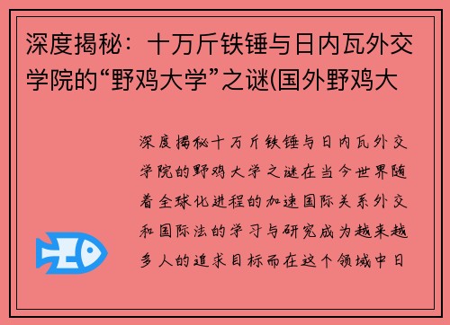 深度揭秘：十万斤铁锤与日内瓦外交学院的“野鸡大学”之谜(国外野鸡大学什么意思)